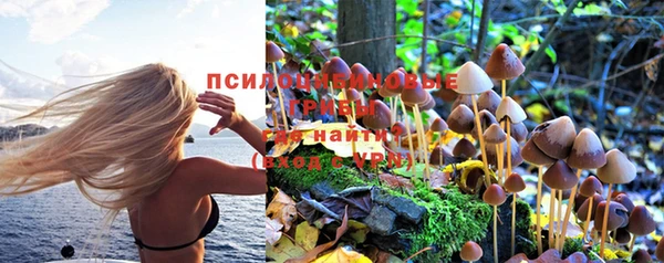бошки Алзамай