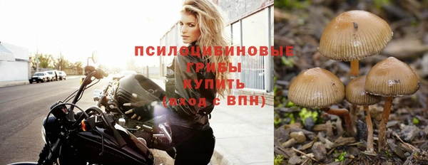 бошки Алзамай