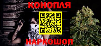 гашик Сланцы