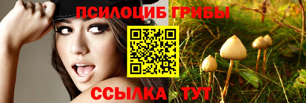 где можно купить   Галлюциногенные грибы мухоморы  Вход с VPN  Урай 